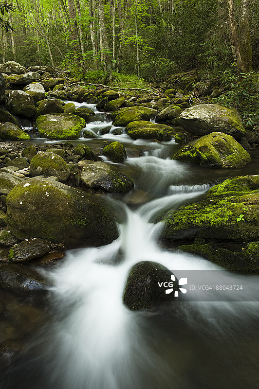 春季咆哮叉河的瀑布图片素材