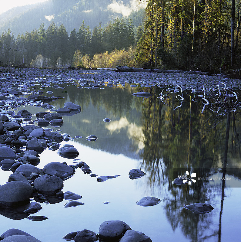 奥林匹克国家公园的霍河图片素材