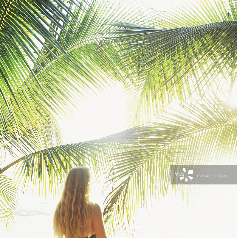 女人站在热带海滩的棕榈树下图片素材