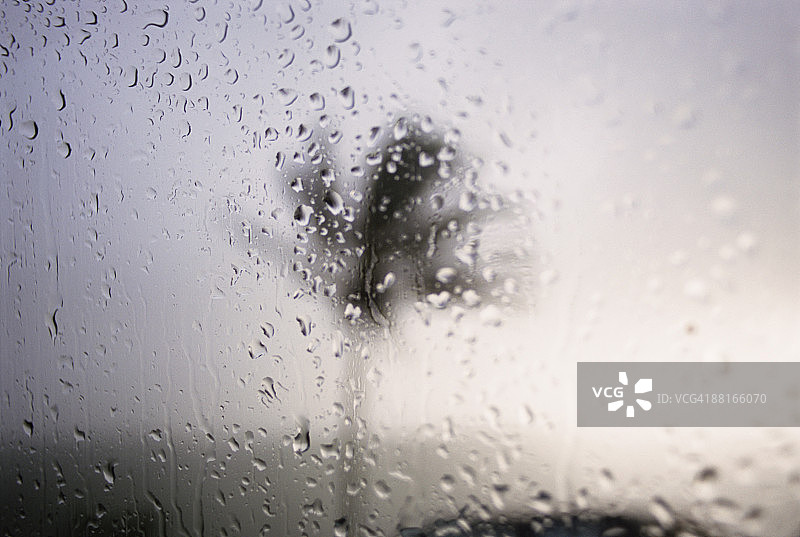 夏威夷大岛雨后窗户外的棕榈树图片素材