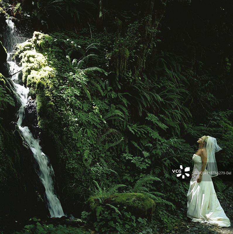 新娘看着瀑布图片素材