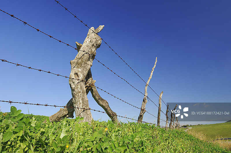 铁丝网图片素材