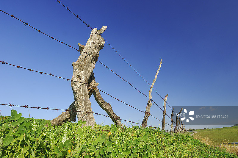 铁丝网图片素材