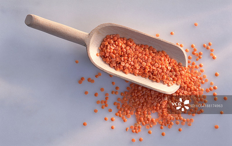 勺子里的红扁豆图片素材