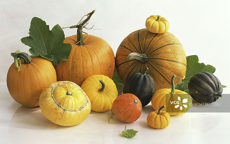 什锦冬南瓜图片素材