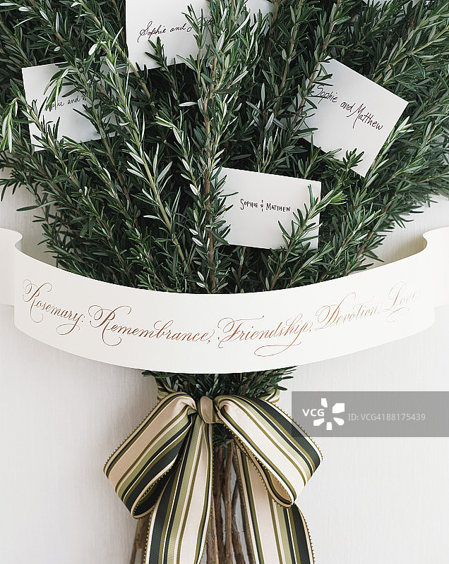 迷迭香名片夹图片素材