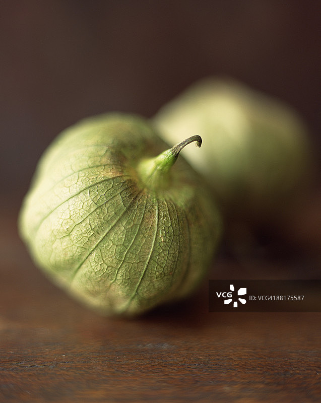墨西哥绿番茄图片素材