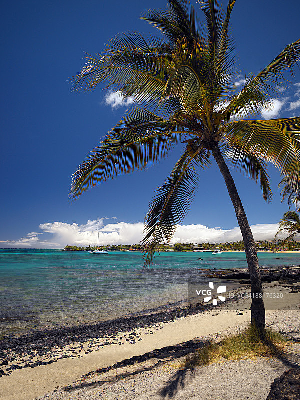 海滩景色，夏威夷威可洛亚图片素材