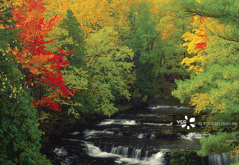 秋季的巴拉加溪图片素材