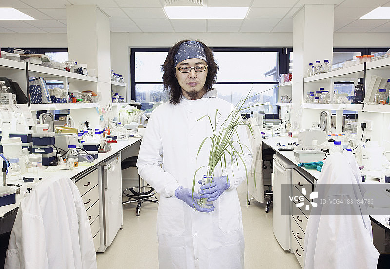 在生物科学实验室中手持植物的科学家图片素材