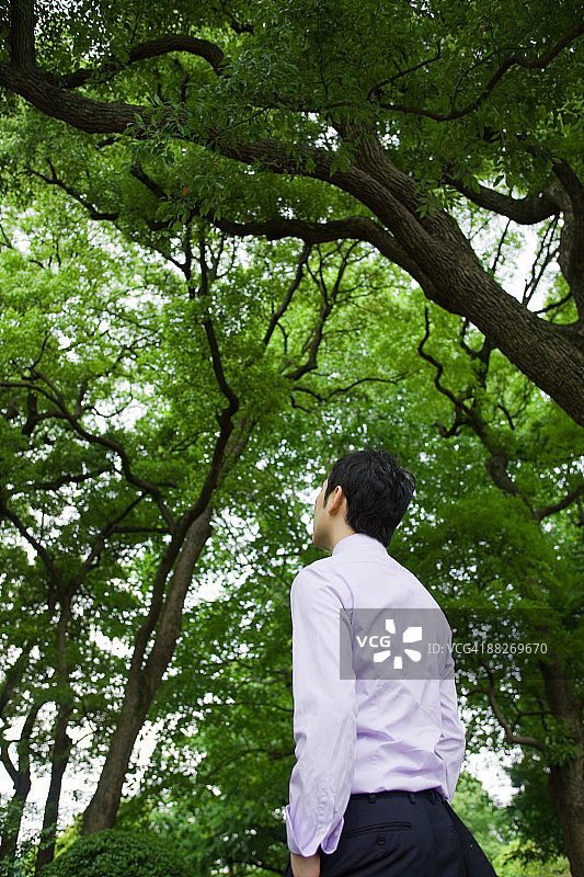 抬头看树的商人图片素材