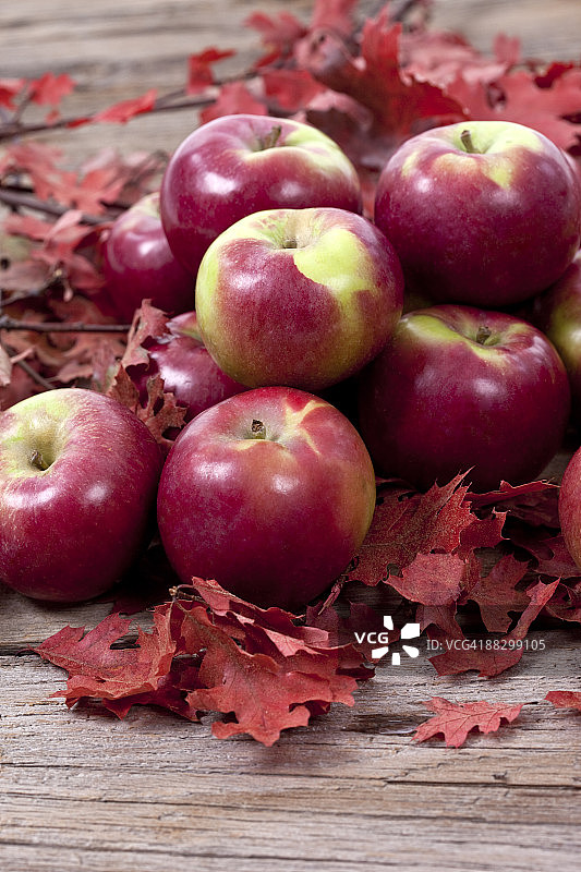 MacIntosh苹果图片素材