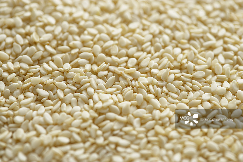 白芝麻图片素材