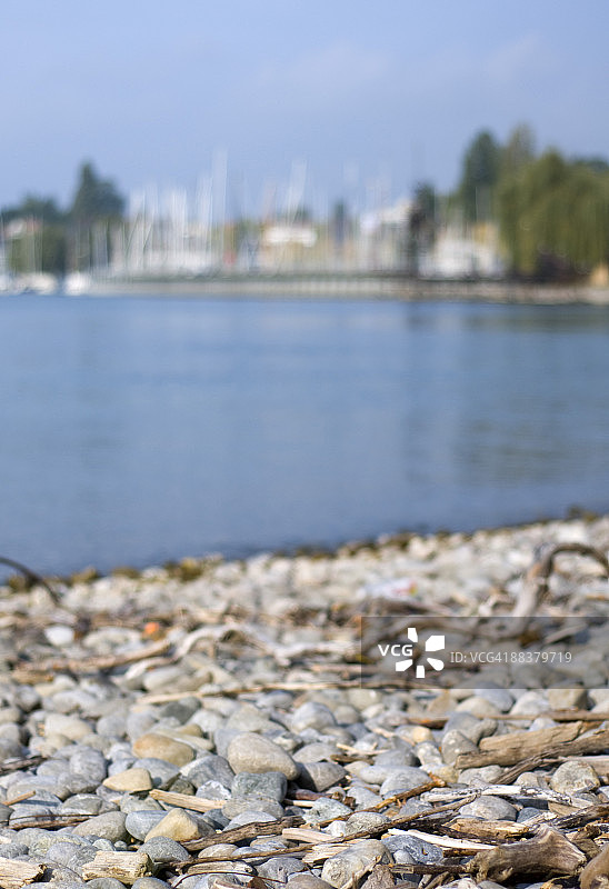 德国腓特烈港：背景是博登湖港口图片素材