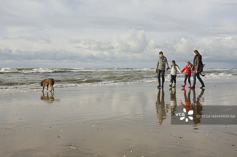 海边的家庭和狗图片素材