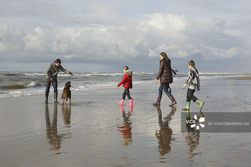 海边的家庭和狗图片素材