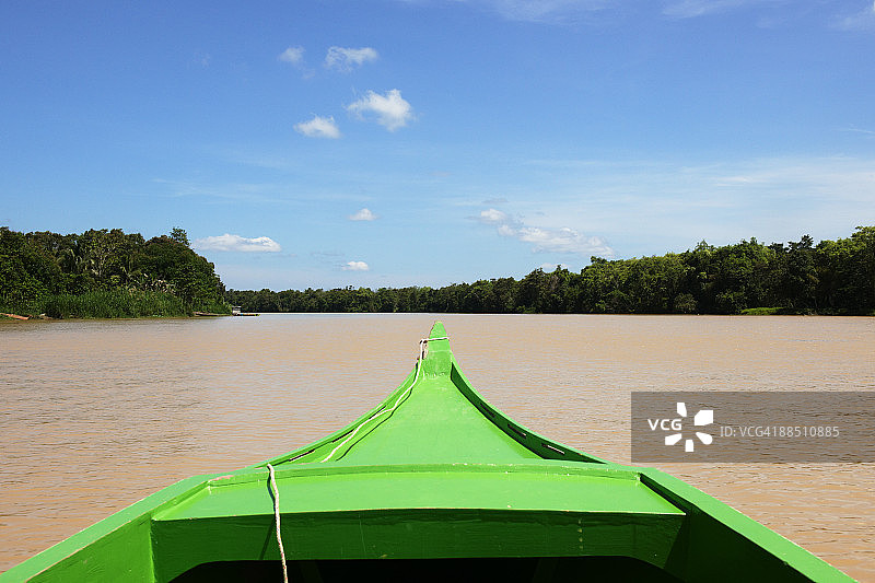 婆罗洲雨林图片素材