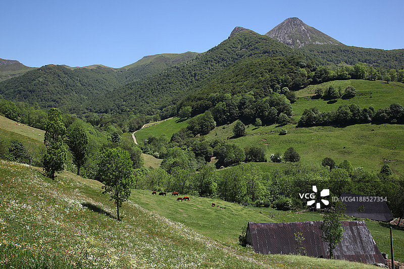 康塔尔省风光图片素材