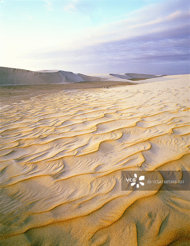 墨西哥下加利福尼亚格雷罗内格罗泻湖附近的沙丘图片素材