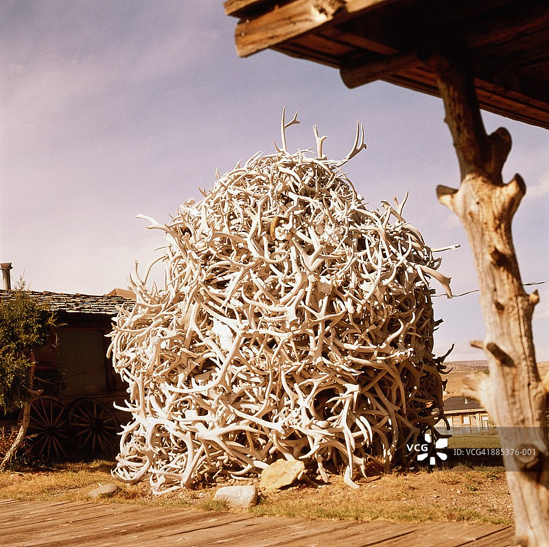 美国怀俄明州科迪，老拓荒者小镇，麋鹿角堆图片素材