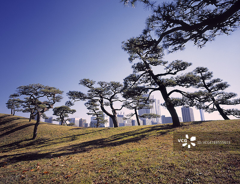 滨离宫庭园与现代建筑图片素材