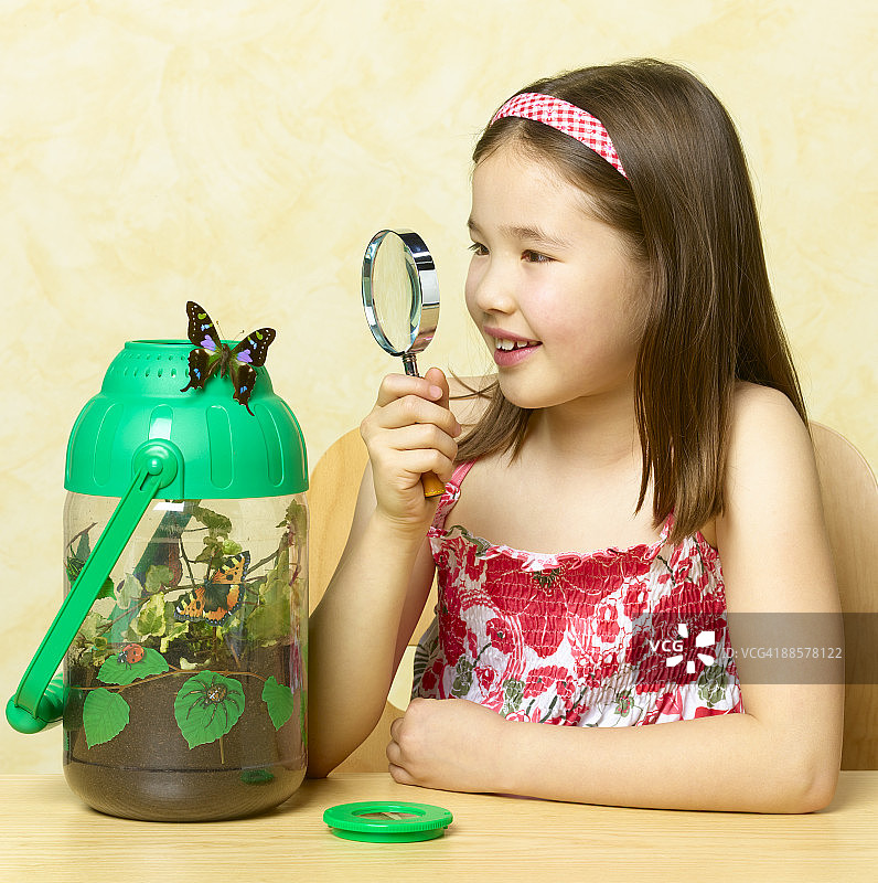 8岁女孩观察蝴蝶图片素材