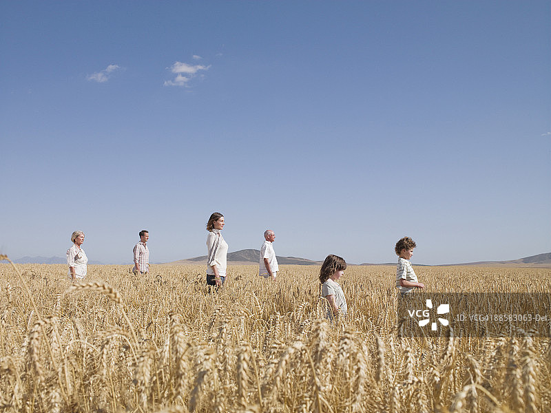 站在偏远麦田里的人们图片素材