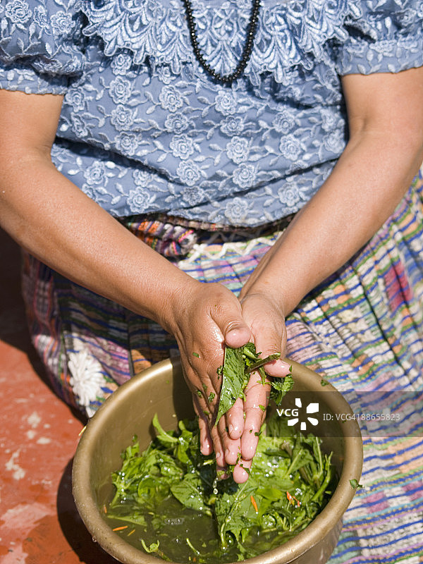 手持湿树叶的女人图片素材