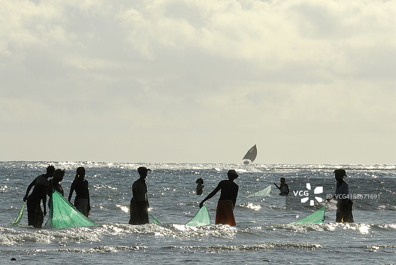 清晨退潮时在奔巴岛北部莫桑比克捕鱼的妇女图片素材