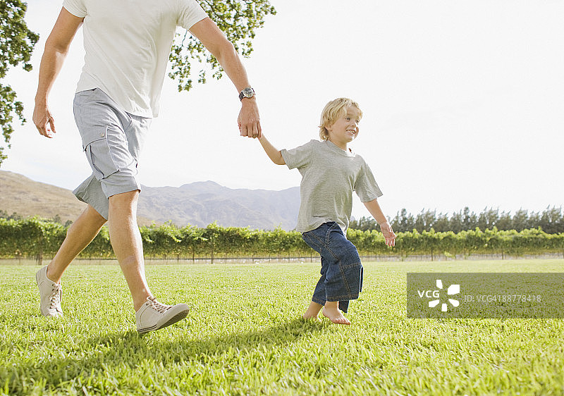 父子在葡萄园手牵着手图片素材