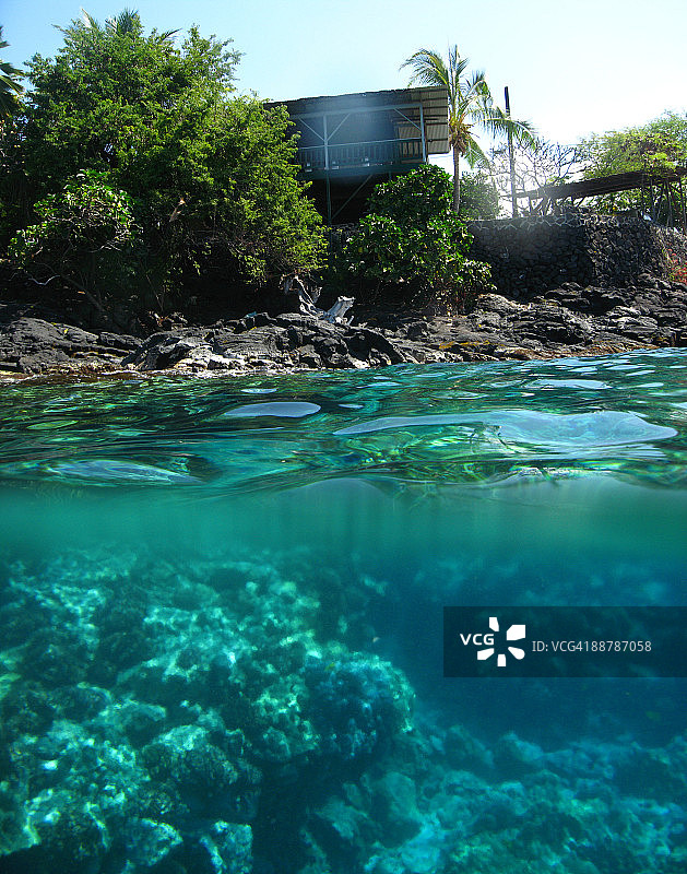2step热带房屋图片素材