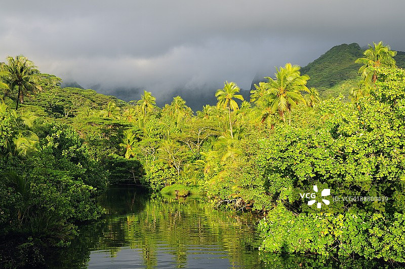 法属波利尼西亚赖阿特阿岛特法图阿山和热带雨林图片素材