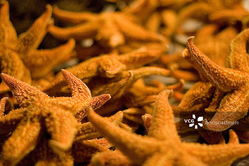 油炸海星图片素材