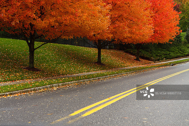 秋季驾驶之旅图片素材