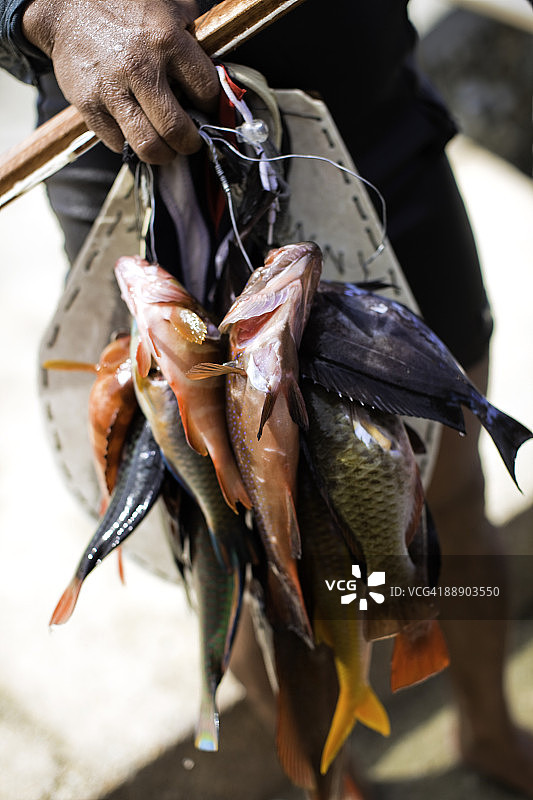 渔民的渔获图片素材