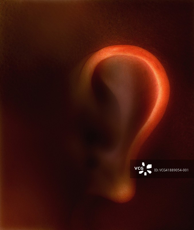 发光的耳朵，特写（数字增强）图片素材