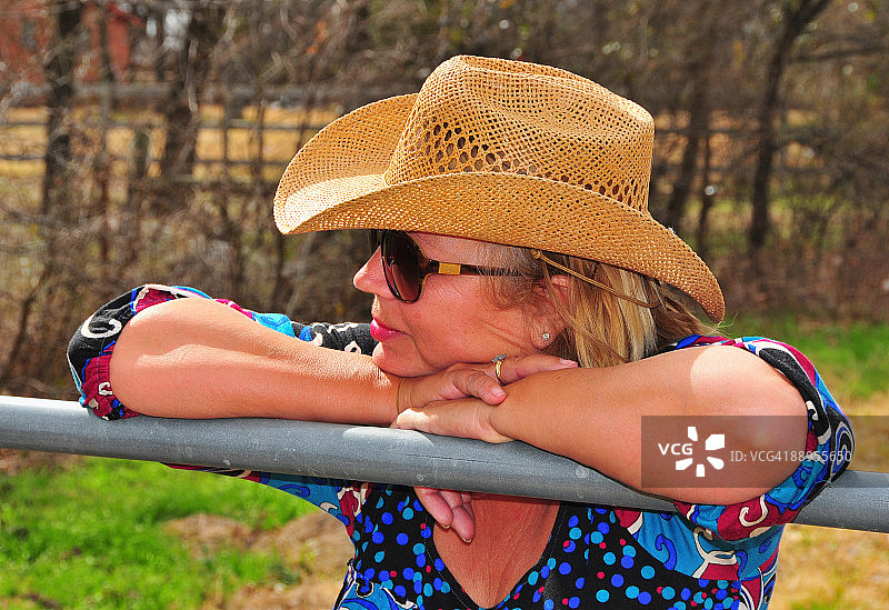 在牧场休息图片素材
