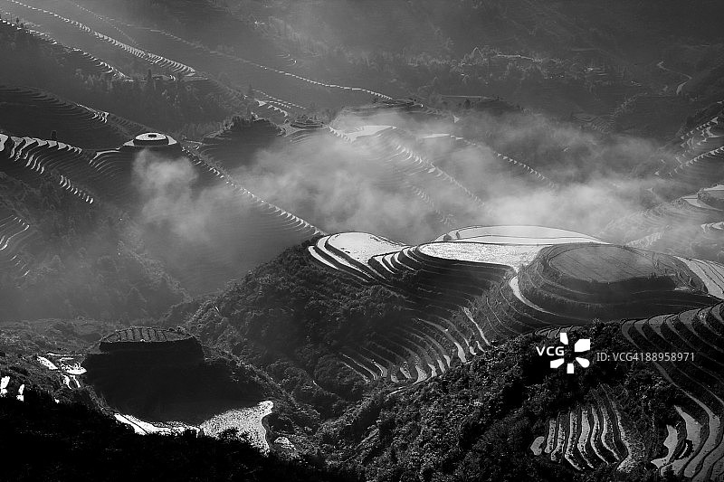 隆基水稻梯田图片素材