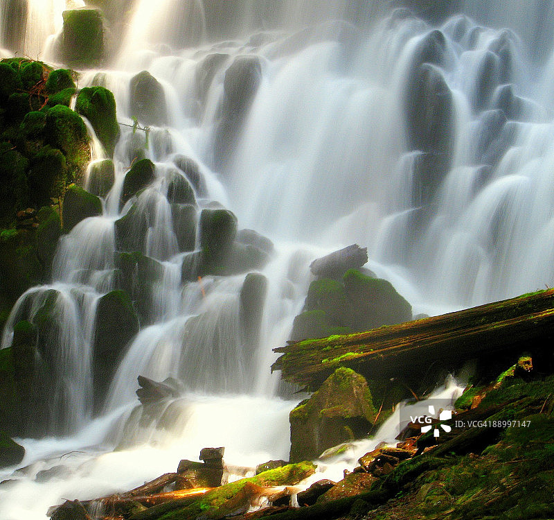 迷人的拉莫娜图片素材