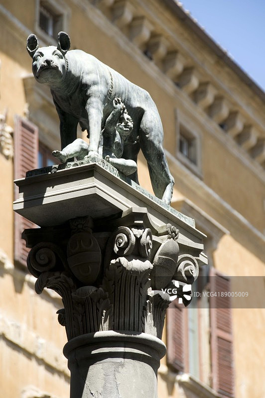 意大利托斯卡纳的卡庇托林狼图片素材