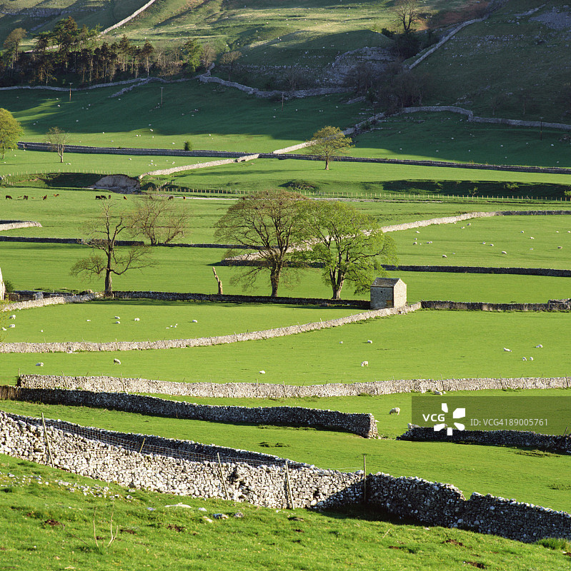 约克郡山谷的石墙，英格兰图片素材