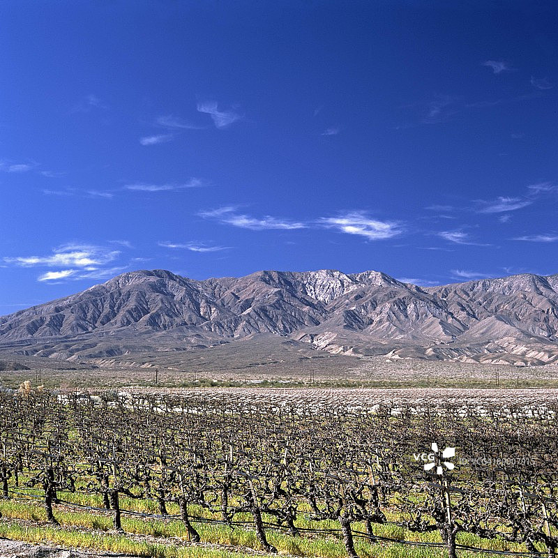 葡萄园和山脉，加利福尼亚州图片素材