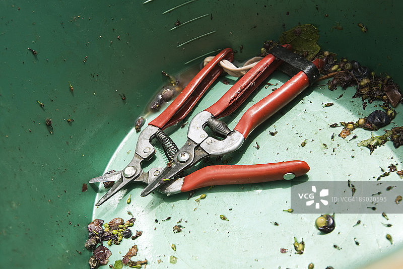 水桶底部的修枝剪图片素材