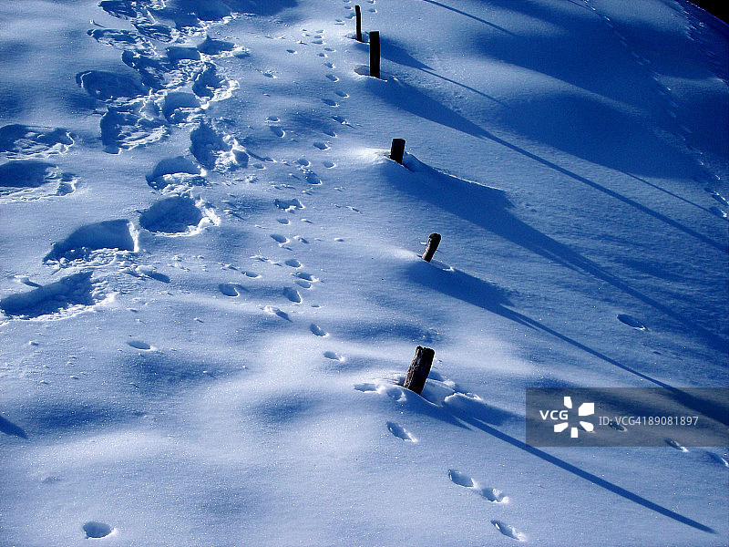 雪地足迹图片素材