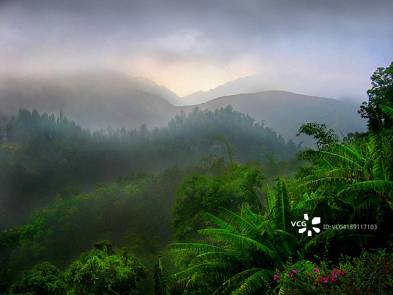 热带雨图片素材