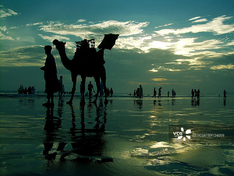 卡拉奇海滩骆驼与大海图片素材