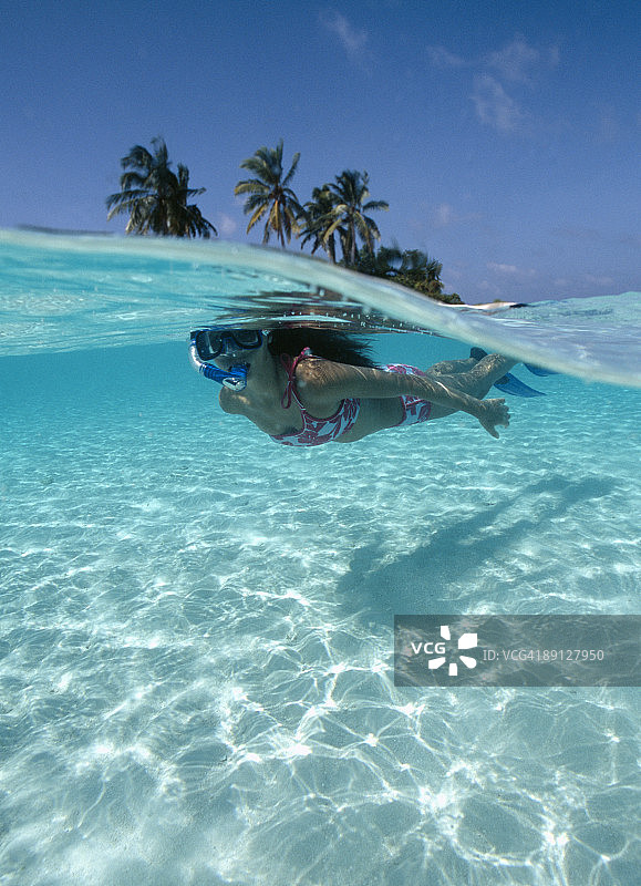 浮潜的女人图片素材