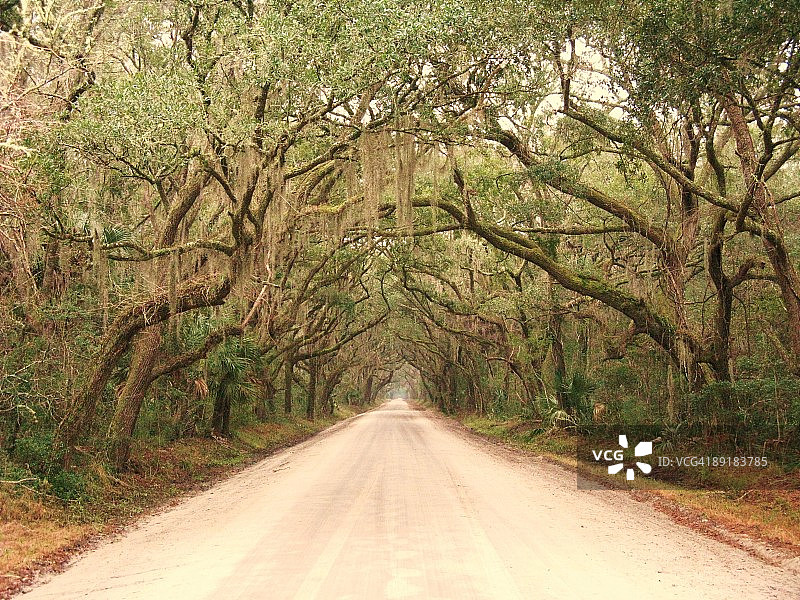 在路上图片素材
