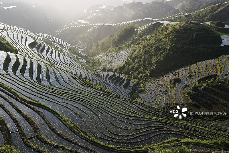 广西龙胜梯田六月日出美景，中国，亚洲图片素材