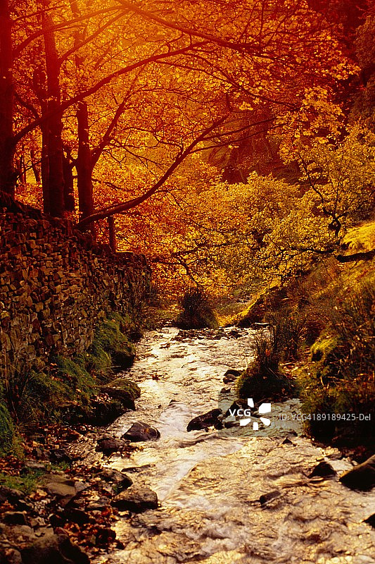 英国德比郡峰区埃代尔的秋叶与溪流图片素材